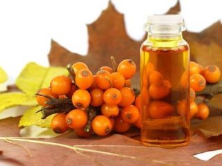 Smiltsērkšķu eļļa: īpašības un pielietojums