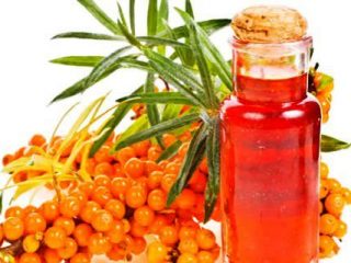 Smiltsērkšķu eļļas vārīšana