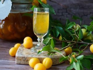 Tuangkan plum ceri dan tincture: 6 resipi