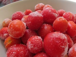 Fryser tomater til vinteren hjemme