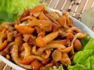 Come marinare i funghi al miele
