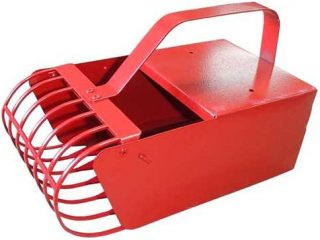 Penuai Cranberry