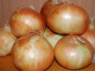 Onion Radar: lajikkeen kuvaus, valokuvat, arvostelut