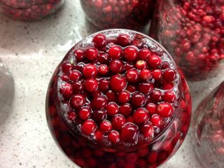 Lingonberry ผลไม้แช่อิ่มสำหรับฤดูหนาว
