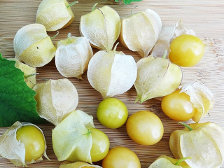 Nanas Physalis: tumbuh dan merawat, foto
