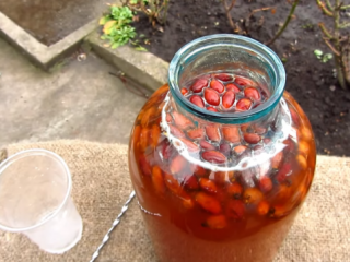 Moonshine on orapihlaja
