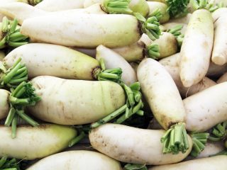 Når skal du grave og hvordan du lagrer daikon