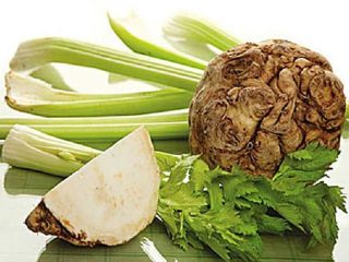 Akar saderi: resipi memasak, bagaimana ia berguna