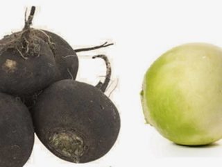 Kā iestādīt melno redīsu