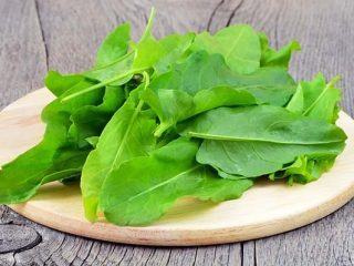 Bagaimana dan bila hendak menabur sorrel pada musim luruh