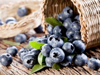 Cara menyusun blueberry dari daun dengan cepat
