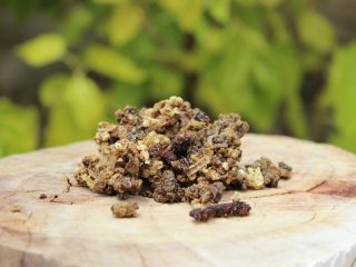 Propolis holdbarhed
