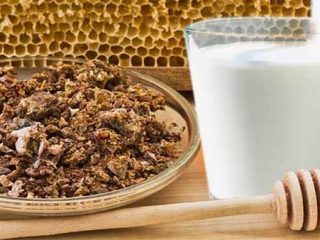 Propolis-tinktur med mjölk: medicinska egenskaper och kontraindikationer