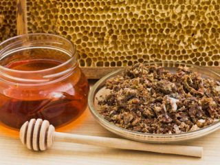 Honning med propolis: nyttige egenskaper og kontraindikasjoner