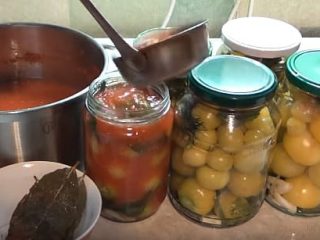 Physalis dārzenis: noderīgas īpašības un receptes