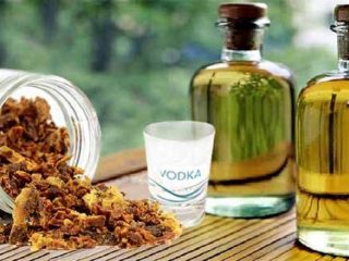 Propolis-tinktur på vodka: madlavning derhjemme