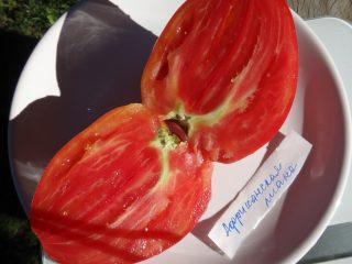Tomato African liana: ulasan + foto