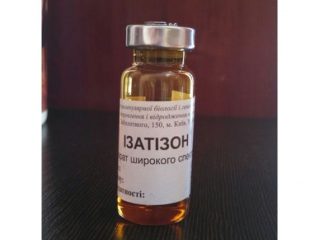 Izatizon bitēm: instrukcija
