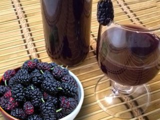 Mulberry doshab, medisinske egenskaper og anmeldelser