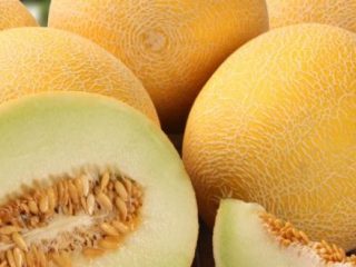 Melonpuré til vinteren
