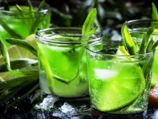 Herba Tarragon (tarragon): sifat berguna dan kontraindikasi
