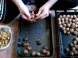 Kuinka murtaa saksanpähkinöitä kotona