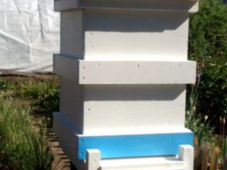 Diy styrofoam (styrofoam) bistade