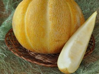 Melon Ethiopka: apžvalgos ir aprašymas