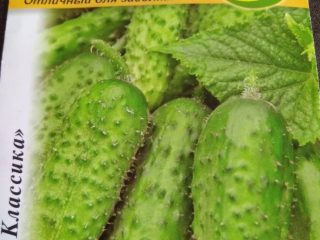 Cucumber Cascade: arvostelut + valokuvat