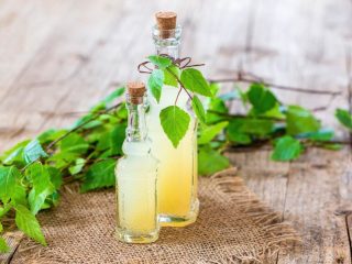 Bērzu sulas šampanietis: 5 receptes