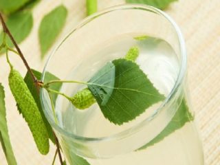 Braga på bjørkesaft: oppskrifter, proporsjoner for måneskin