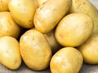 Banba potatoes: variety description, reviews