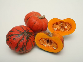 Pumpkin Candy: kuvaus ja valokuva