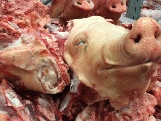 Cara memotong kepala babi: arahan langkah demi langkah