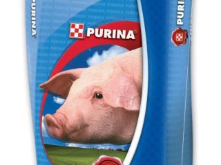 Puriini sioille ja porsaille