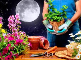 Månkalender för mars 2020 för en blomsterhandlare