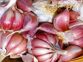 Valkosipuli Petrovsky: kuva, arvostelut, saanto