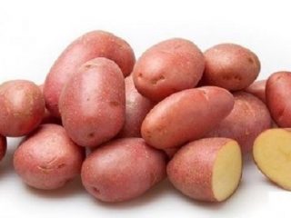 Kartupeļu šķirne Kumach