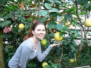 Lemon Jubilee: apžvalgos + nuotraukos