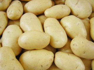 Madeleine-perunat