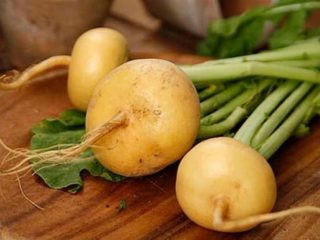 Rāceņu raža: kā uzglabāt ziemai