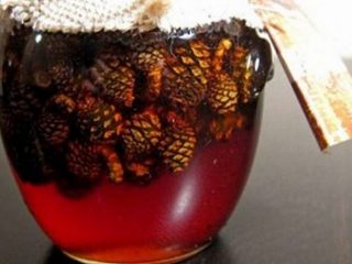 Männynkäpy tinktuura