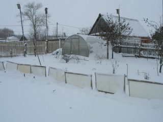 Kodėl sniego sulaikymas laukuose ir sode: nuotrauka, technika