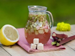 Rabarbra kvass: 8 oppskrifter