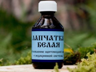 Baltā cinquefoil tinktūra: lietošanas instrukcijas, ieguvumi un kaitējums, kas dziedē, atsauksmes