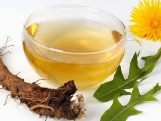 Teh Dandelion: resipi dari bunga, akar dan daun