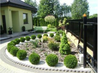 Thuja genėjimas (kirpimas) rudenį, pavasarį: formuojant spiralę, kūgį, dekoratyvines genėjimo formas pradedantiesiems