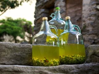 Resipi untuk minuman keras gooseberry buatan sendiri dengan dan tanpa vodka
