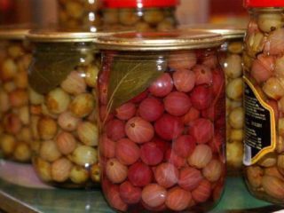 Uva spina in salamoia con e senza aglio: ricette per i preparativi per l'inverno