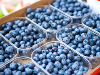 Adakah mungkin untuk membekukan blueberry untuk musim sejuk